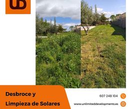 230754426-1-u2MrPq2gvt1700067555224.jpeg
