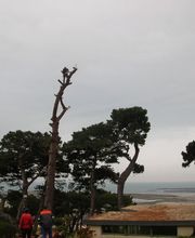 Balcou Mickaël image 2