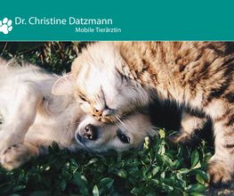 Dr. Christine Datzmann Mobile Tierarztpraxis Bild 1