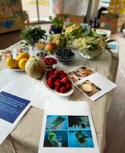 Kita Baselini Bild 2