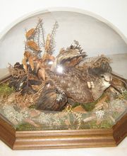 Lanaud Petot Virginie image 9