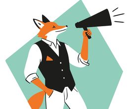 KMUfox GmbH Bild 4
