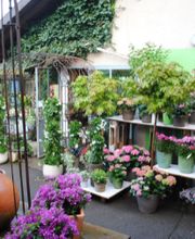 Blumen Bergmann Bild 1