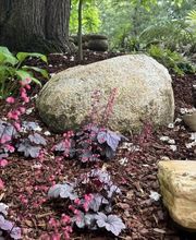 Créanature image 18