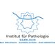 Institut für Pathologie