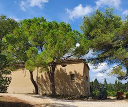 CHÂTEAU DE SÉGRIÈS image 6