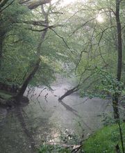 Le Village Du Champ image 1