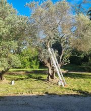 THILL SEBASTIEN image 3