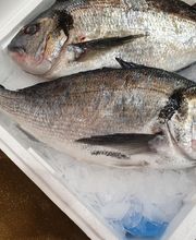 Gilles et Compagnie image 9