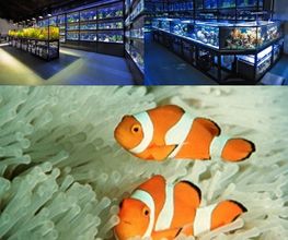 KN-Aquaristik Versandhandel GmbH Bild 1
