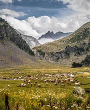 Pyrenees Travels imagen 6