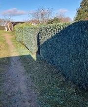 Der Gartenhelfer Bild 1
