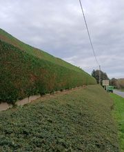 Daniel Moquet signe vos jardins - Ent. AJ Paysage image 18