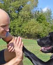 Dollydog Educ image 1