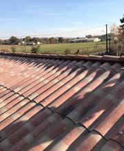 PBM Carvalho image 11