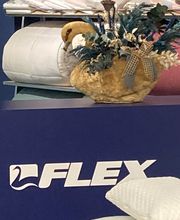 Tienda Flex by Somnias imagen 6