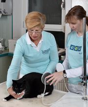 Dr. med. vet. Schindler Tierärztliche Fachpraxis Bild 5