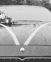 DELILLE PRESTIGE image 1