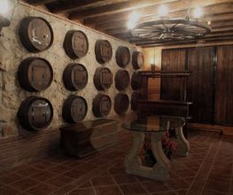 bodega-header-bg1.jpg