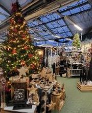 HELLWEG - Die Profi-Baumärkte Ahrensfelde Bild 13