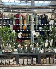 Orchidées et cache pots