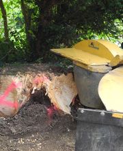 OekoPrax Völlmin AG Bild 4