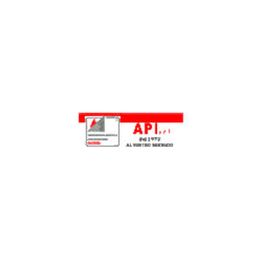 Api Srl logo