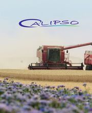 CALIPSO image 4