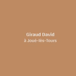 Giraud David
