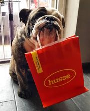 Husse image 7