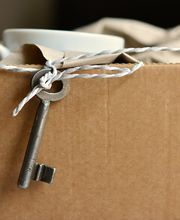 Bärenbande MS Bild 2