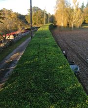 Maziere Espaces Verts image 1