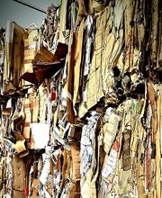 Recuperaciones A. Sánchez imagen 18