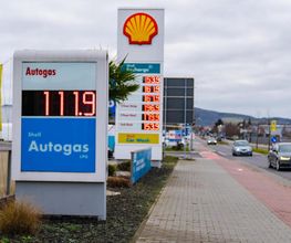 Shell Bild 7