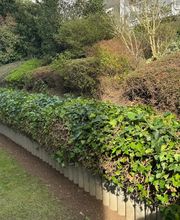 Daily Gartenpflege Bild 4