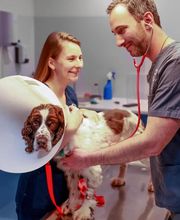 Clinique vétérinaire de Saint-Aquilin-de-Pacy - Sevetys image 9