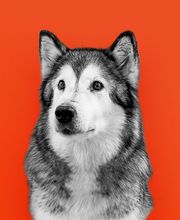 FAKTOR 1 - Werbeagentur Bild 3