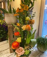 Fleur Evasion Sàrl Bild 8