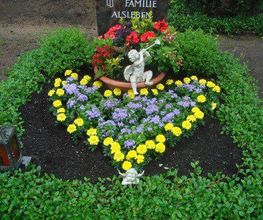 Blumen Bock Bild 1