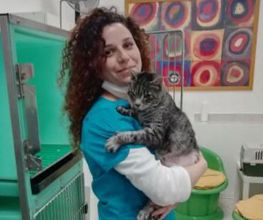 Centro Veterinario Maccauro immagine 4