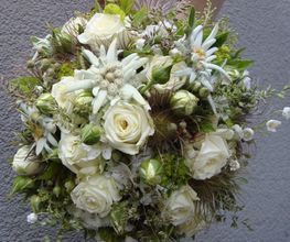 Blumen Petermann Bild 1