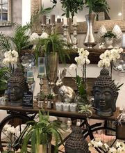 Blumenhaus Knagge Bild 3