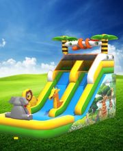 Semprefesta Animazione & Noleggio Gonfiabili immagine 10