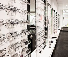 pro optik Augenoptik Gera Bild 2