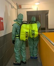 Dérat Guêpe 26 image 11