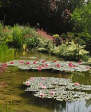 Schlössli Pieterlen, Leben im Park Bild 4
