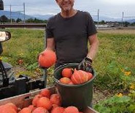 Marché Balmer Bild 7