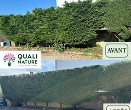 Quali Nature image 20