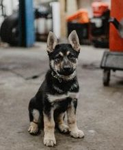 Brown's Service Center image 1