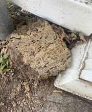 Mike's Termite & Pest Control image 5